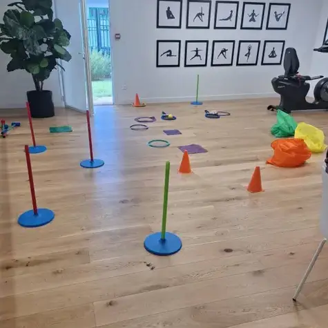 ménage à domicile à Andrezé - image 2